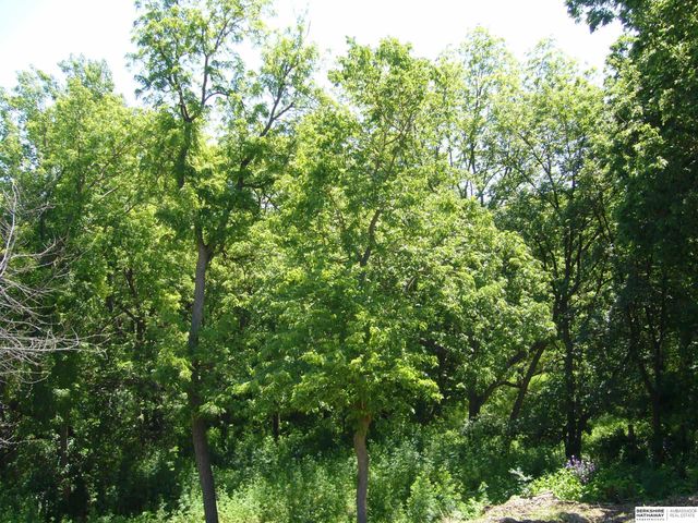 707 N Bellevue Boulevard, Bellevue, NE 68005