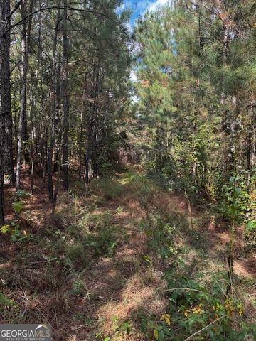 230 Dodgen Road, Hampton, GA 30228