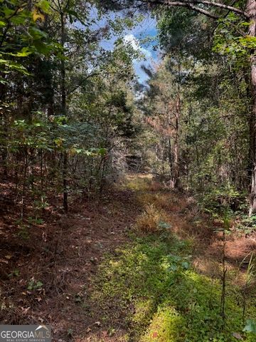 230 Dodgen Road, Hampton, GA 30228