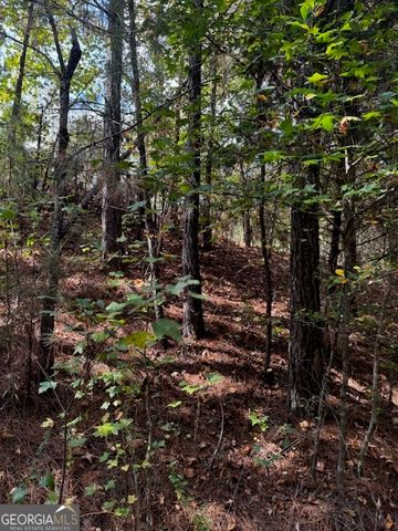 230 Dodgen Road, Hampton, GA 30228