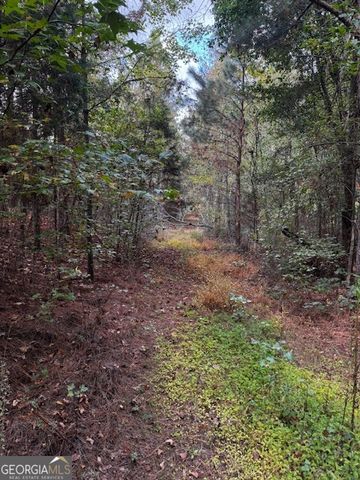 230 Dodgen Road, Hampton, GA 30228