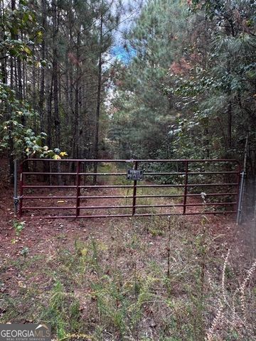 230 Dodgen Road, Hampton, GA 30228