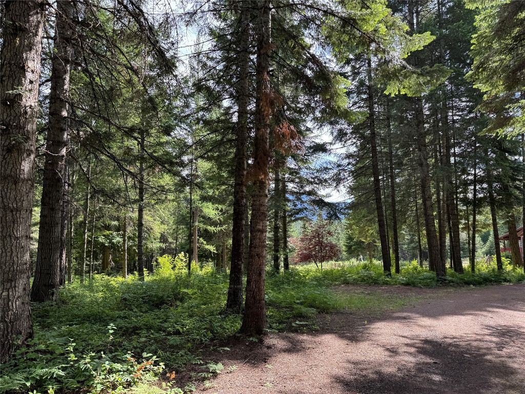 Image 59 of property listing at 56 Mt Highway 200, Heron, MT 59844