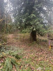 16006 Shuksan Rim Drive, Glacier, WA 98244