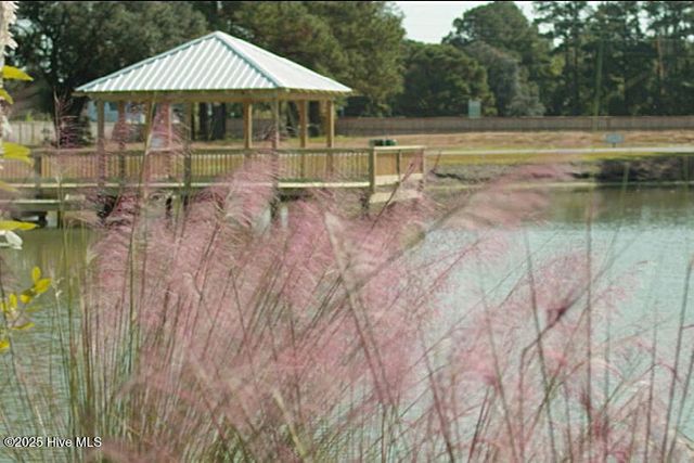 525 Sailor Sky Way 390, Hampstead, NC 28443