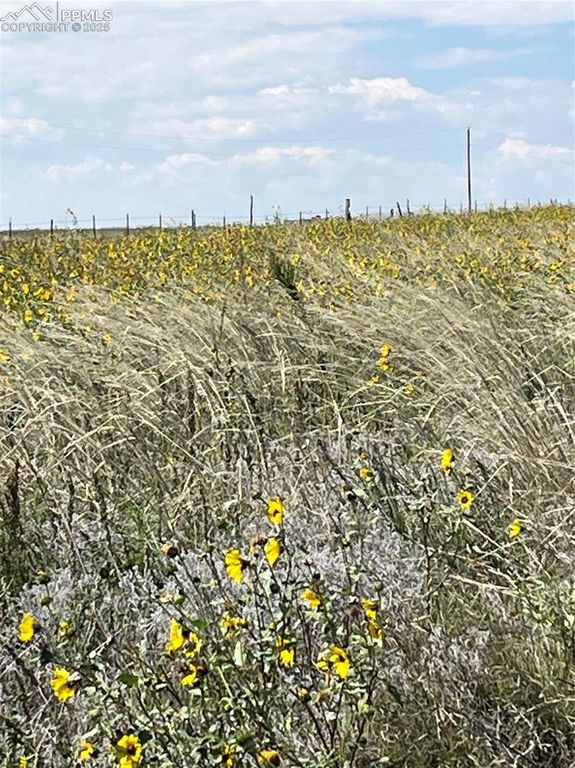 1999 Sengbeil Road, Yoder, CO 80864 — photo 2