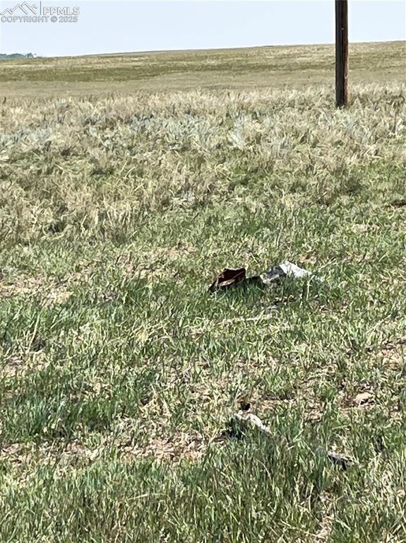 1999 Sengbeil Road, Yoder, CO 80864 — photo 3