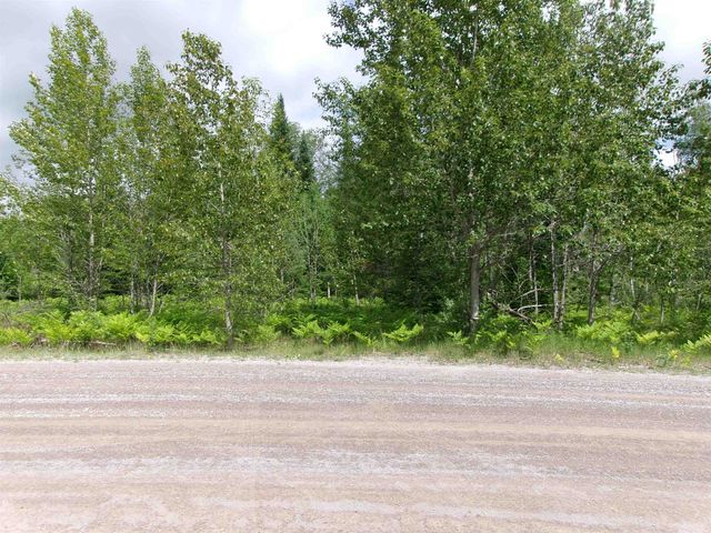 4490 Ridgeway Trail, Lake, MI 48632
