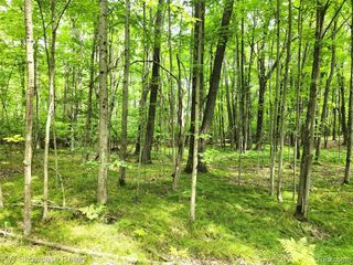 000 Red Fox Run, Lincoln, MI 48622