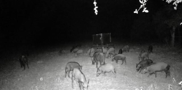 1561 County Road 154, Weimar, TX 78934