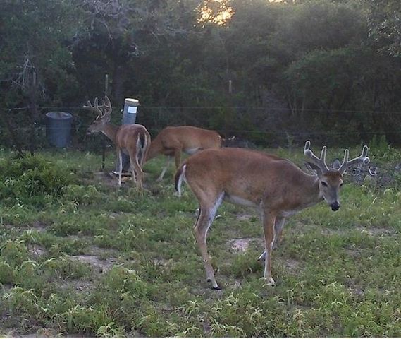 1561 County Road 154, Weimar, TX 78934