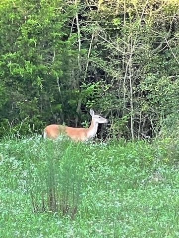 1561 County Road 154, Weimar, TX 78934