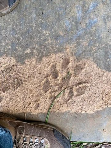 1561 County Road 154, Weimar, TX 78934