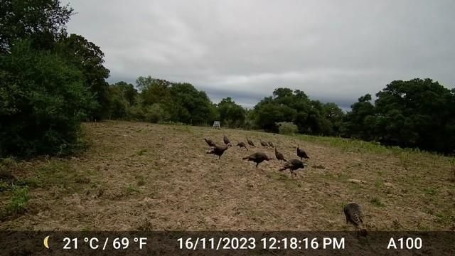 1561 County Road 154, Weimar, TX 78934