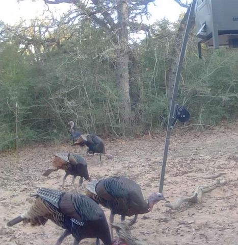 1561 County Road 154, Weimar, TX 78934