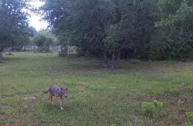 1561 County Road 154, Weimar, TX 78934