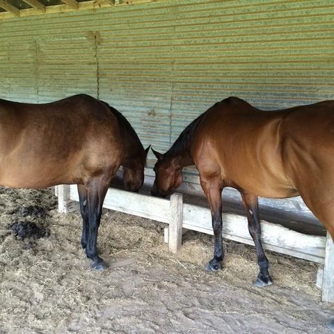 1561 County Road 154, Weimar, TX 78934