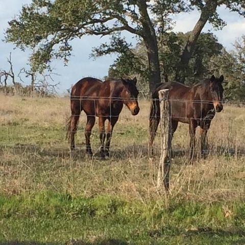 1561 County Road 154, Weimar, TX 78934