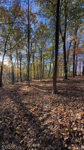 7 Hoffman Rd, High Bridge Boro, NJ 08829