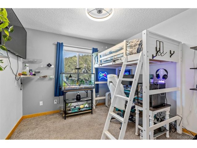 987 Wisp Creek Dr, Bailey, CO 80421