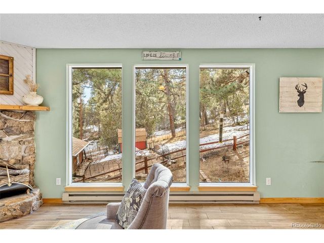 987 Wisp Creek Dr, Bailey, CO 80421