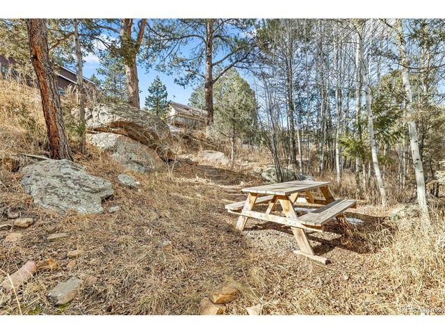 987 Wisp Creek Dr, Bailey, CO 80421