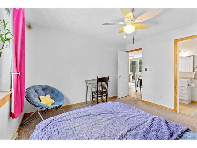 987 Wisp Creek Dr, Bailey, CO 80421