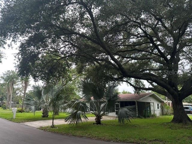 2030 HEALY DRIVE, Clearwater, FL 33763