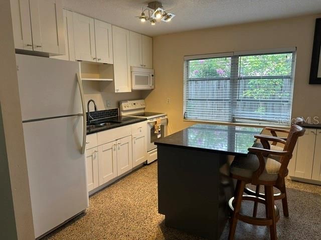 2030 HEALY DRIVE, Clearwater, FL 33763