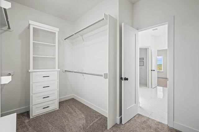 9917 F M 1294, Shallowater, TX 79363