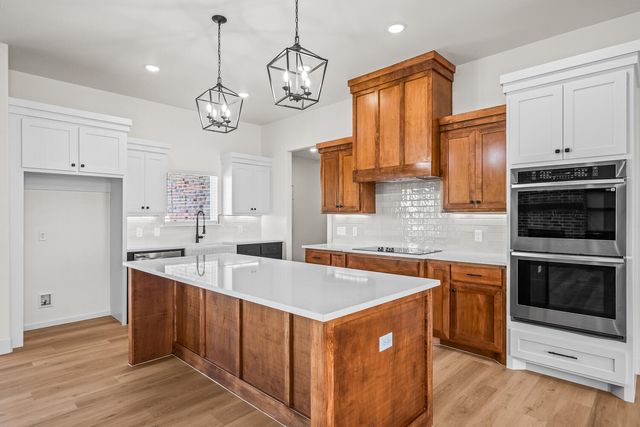 9917 F M 1294, Shallowater, TX 79363