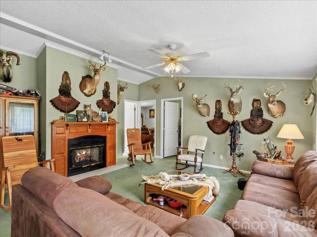 98 Cardinal Lane, Burnsville, NC 28714