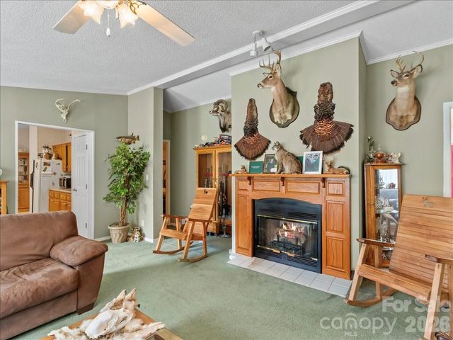 98 Cardinal Lane, Burnsville, NC 28714