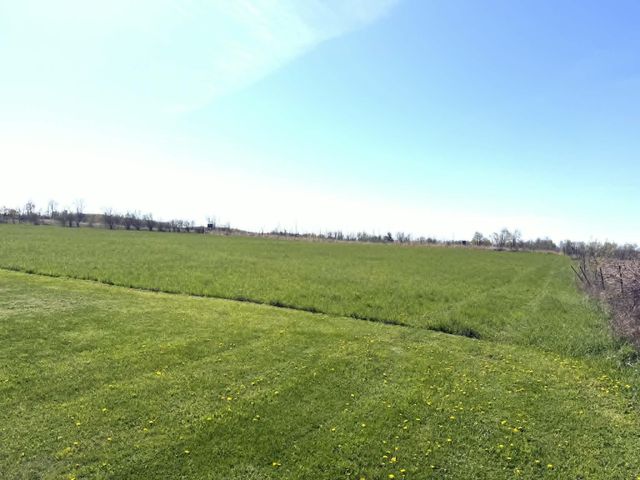 8377 Truman Road, Evart, MI 49631
