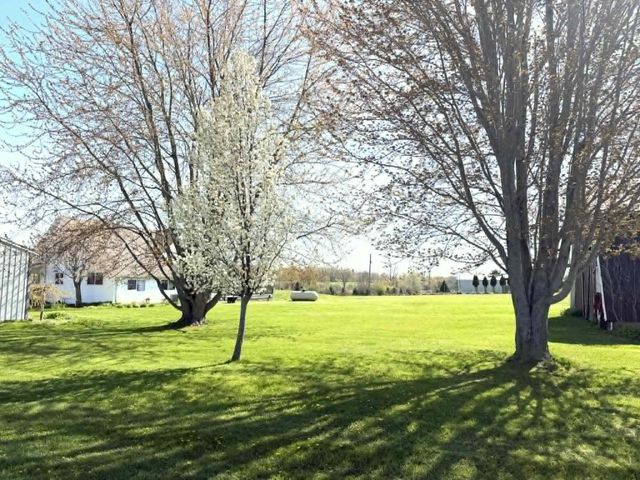 8377 Truman Road, Evart, MI 49631