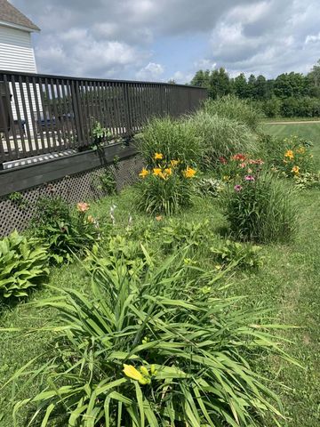 8377 Truman Road, Evart, MI 49631