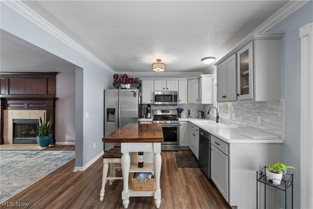 4467 Newcastle Cove, Brunswick, OH 44212