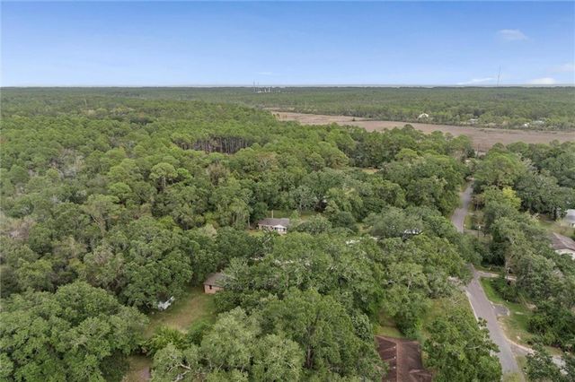 14165 River Oaks Drive, Coden, AL 36523