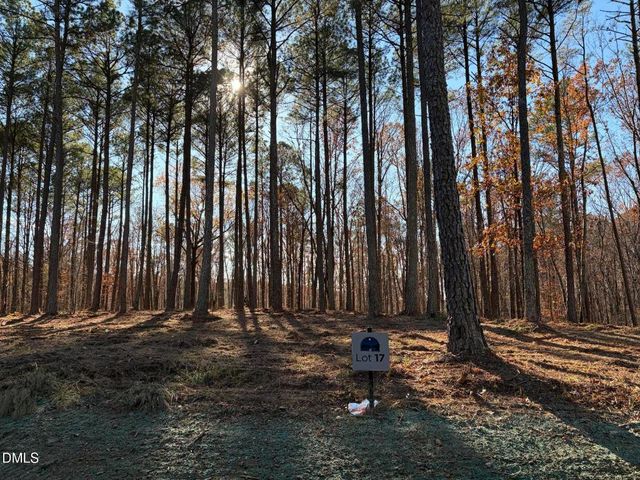 6729 Bartley Point Drive, New Hill, NC 27562