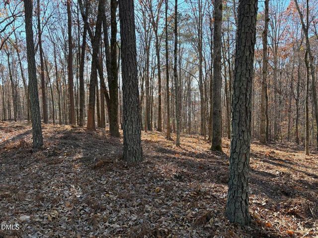 6729 Bartley Point Drive, New Hill, NC 27562