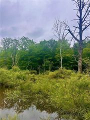 323 County Road 19, Preston, NY 13815