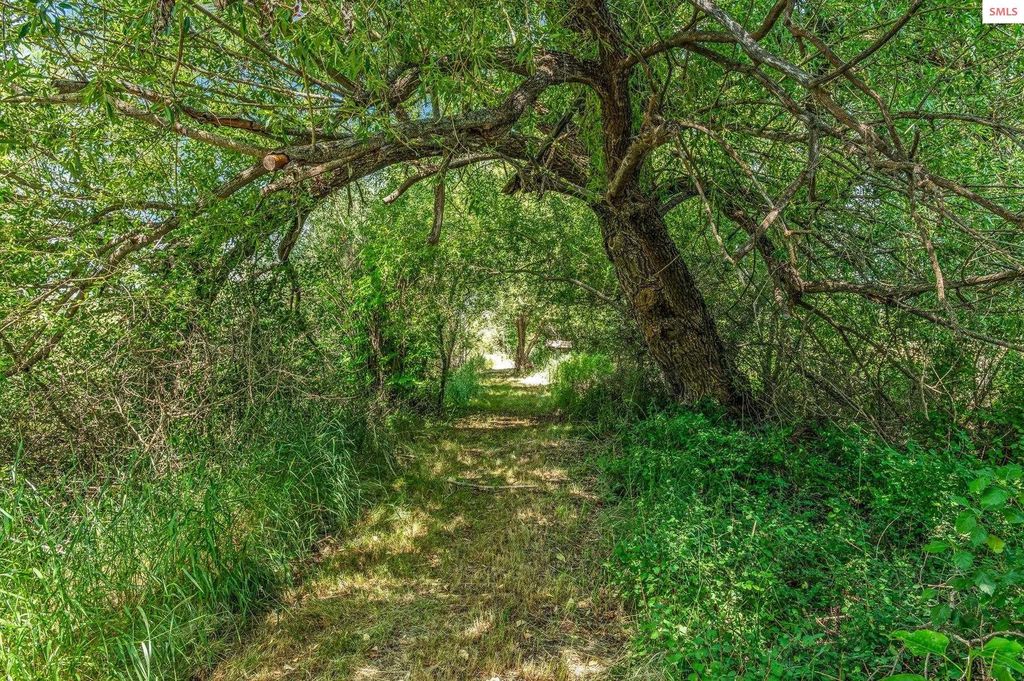 210 Rusho Lane, Blanchard, ID 83804 photo 58