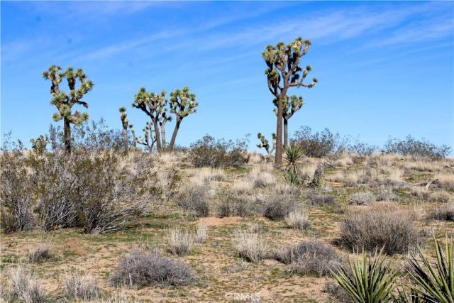 40 La Brisa, Yucca Valley, CA 92284