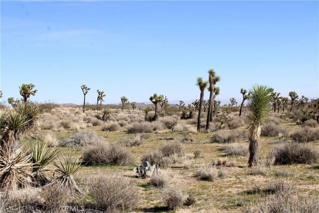 40 La Brisa, Yucca Valley, CA 92284