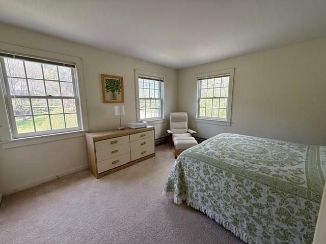 15 Sawmill Village Way, Dover, VT 05356