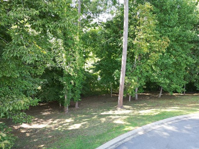 Lot 11 Bent Grass Circle, Hayesville, NC 28904