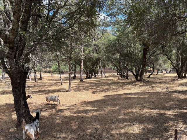 10273 Holcomb Dr, Grass Valley, CA 95949