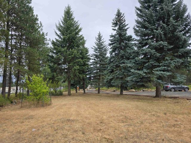 4221 E Bailey Rd, Chattaroy, WA 99003