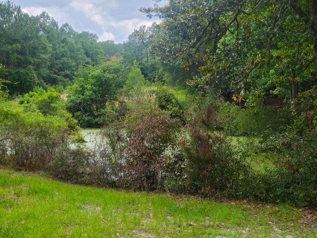 126 Rattlensnake Trail, Walterboro, SC 29488
