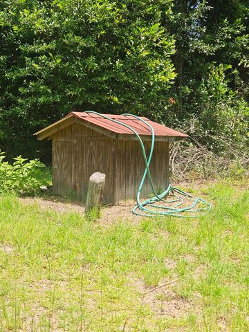 126 Rattlensnake Trail, Walterboro, SC 29488